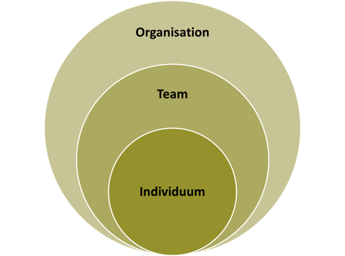 Organisationale Energie Individuum Team Organisation Kreismodell .png