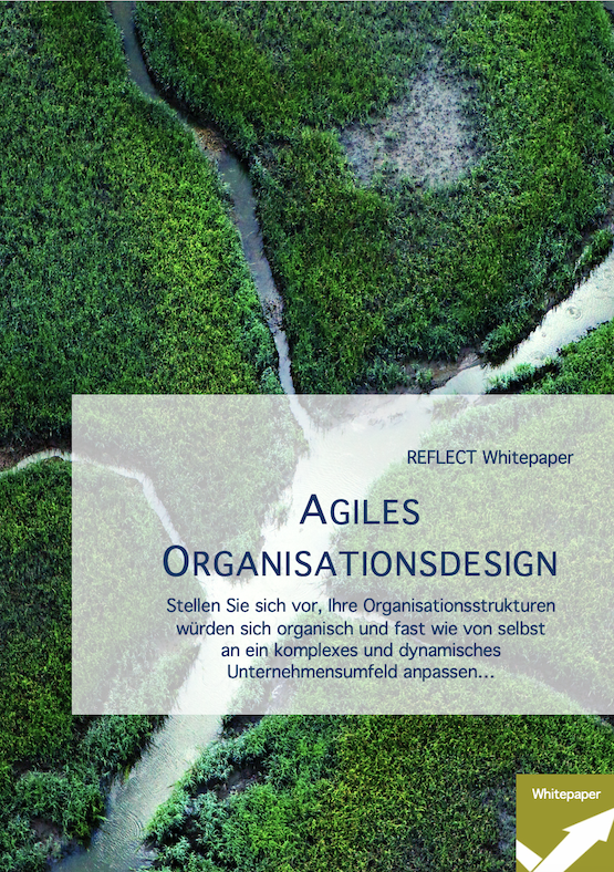 AgilesOrganisationsDesign