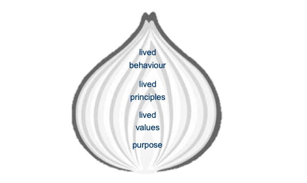 onion_model_agile_transformation