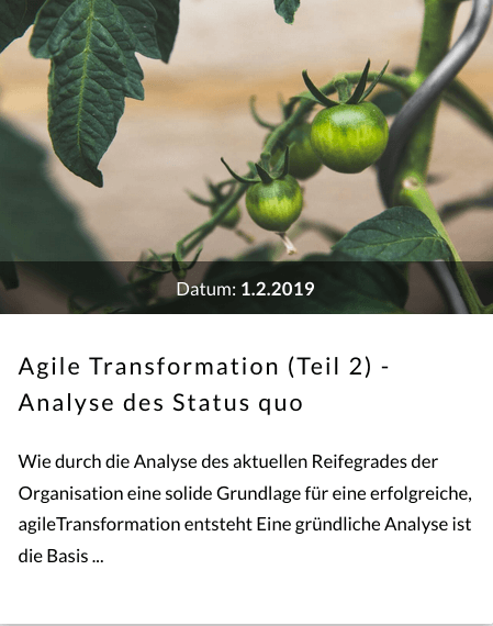 agile_Transformation2