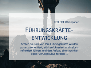 Fuehrungskraefteentwicklung Reflect 2