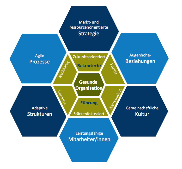 Das Konzept: Die Gesunde Organisation