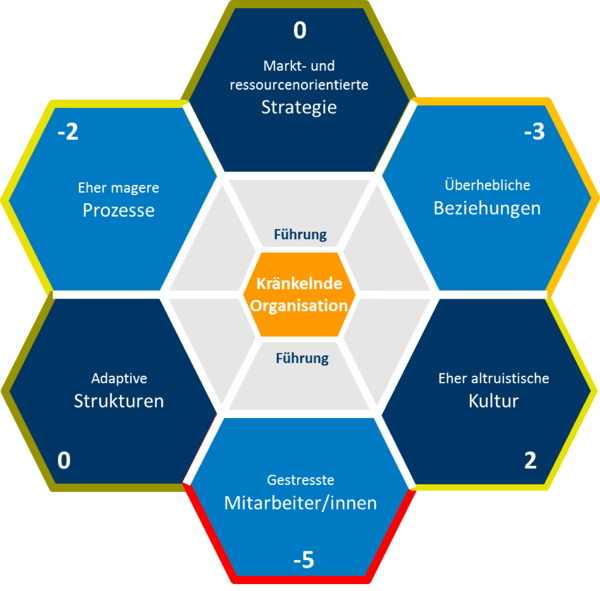 Kraenkelnde Organisation