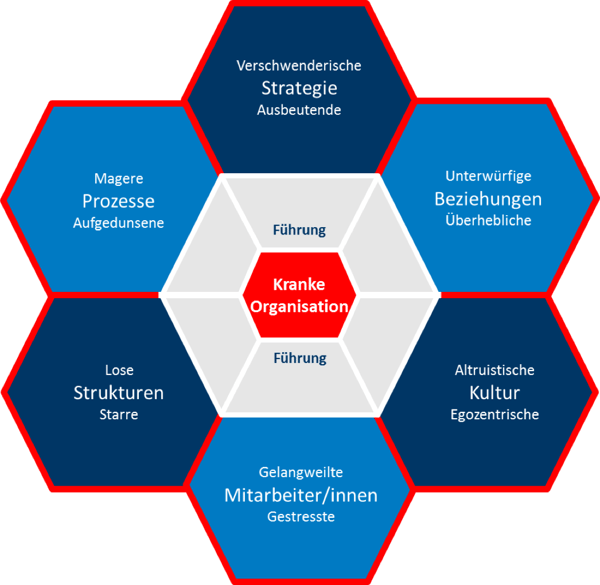 Kranke Organisation