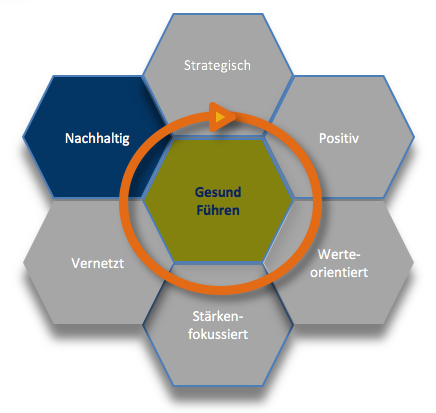 Gesunde Organisation Wabenmodell Gesund Führen nachhaltig Fuehren 7.png Gesunde Organisation Wabenmodell Gesund Führen nachhaltig Fuehren 7.png
