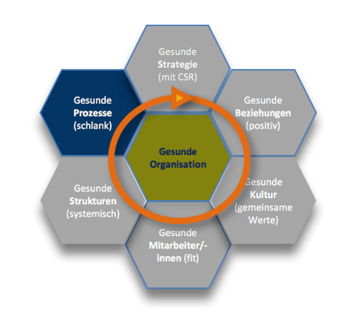 Gesunde Organisation Wabenmodell Gesunde Prozesse 7 .png Gesunde Organisation Wabenmodell Gesunde Prozesse 7 .png